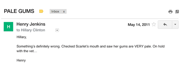 Illustration for article titled In The Interest Of Full Transparency, Here Are The 7 Emails I Sent To Hillary Clinton About My Sick Horse